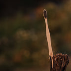 Pack of 2 Curvy Bamboo Toothbrush w Charcoal bristlles