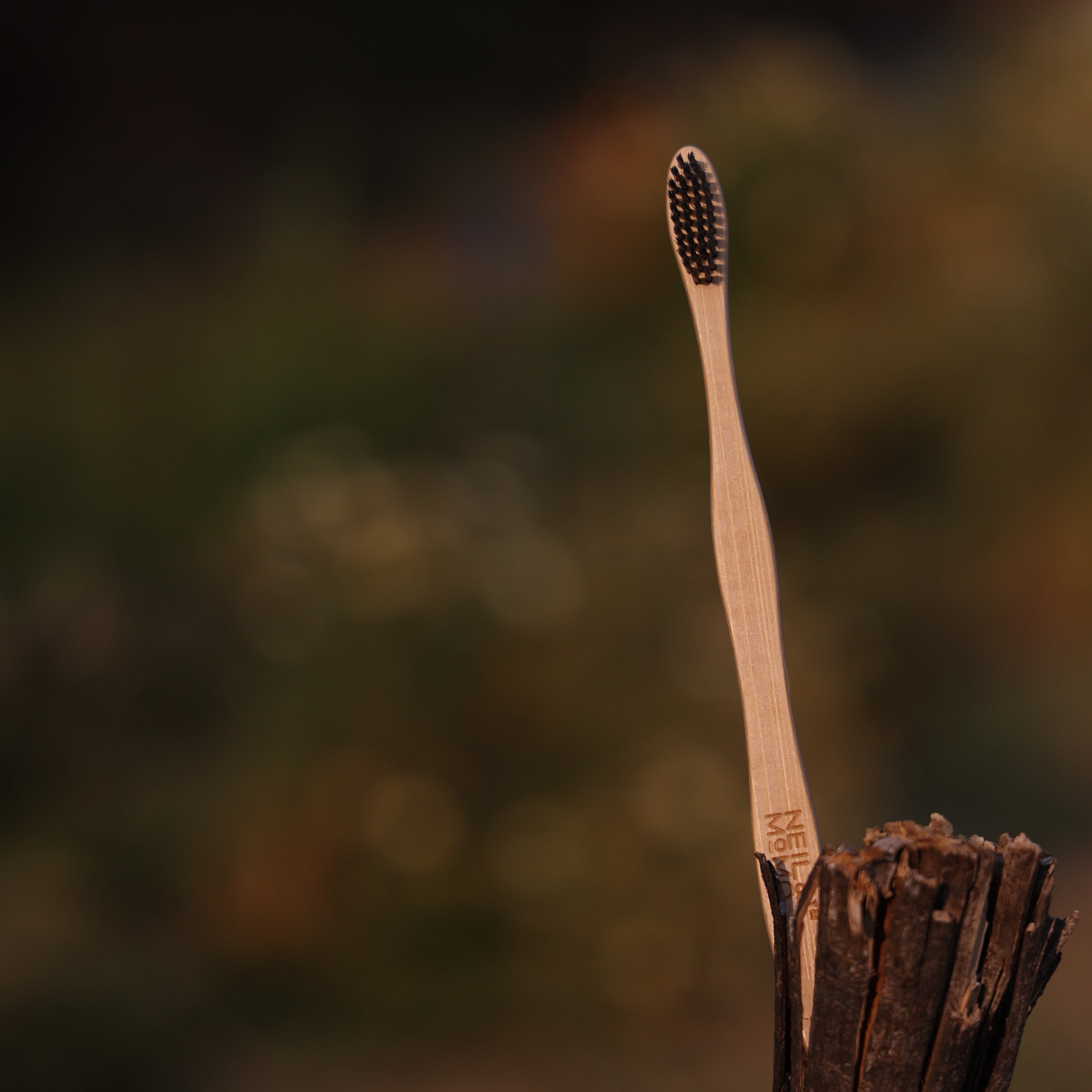 Pack of 2 Curvy Bamboo Toothbrush w Charcoal bristlles