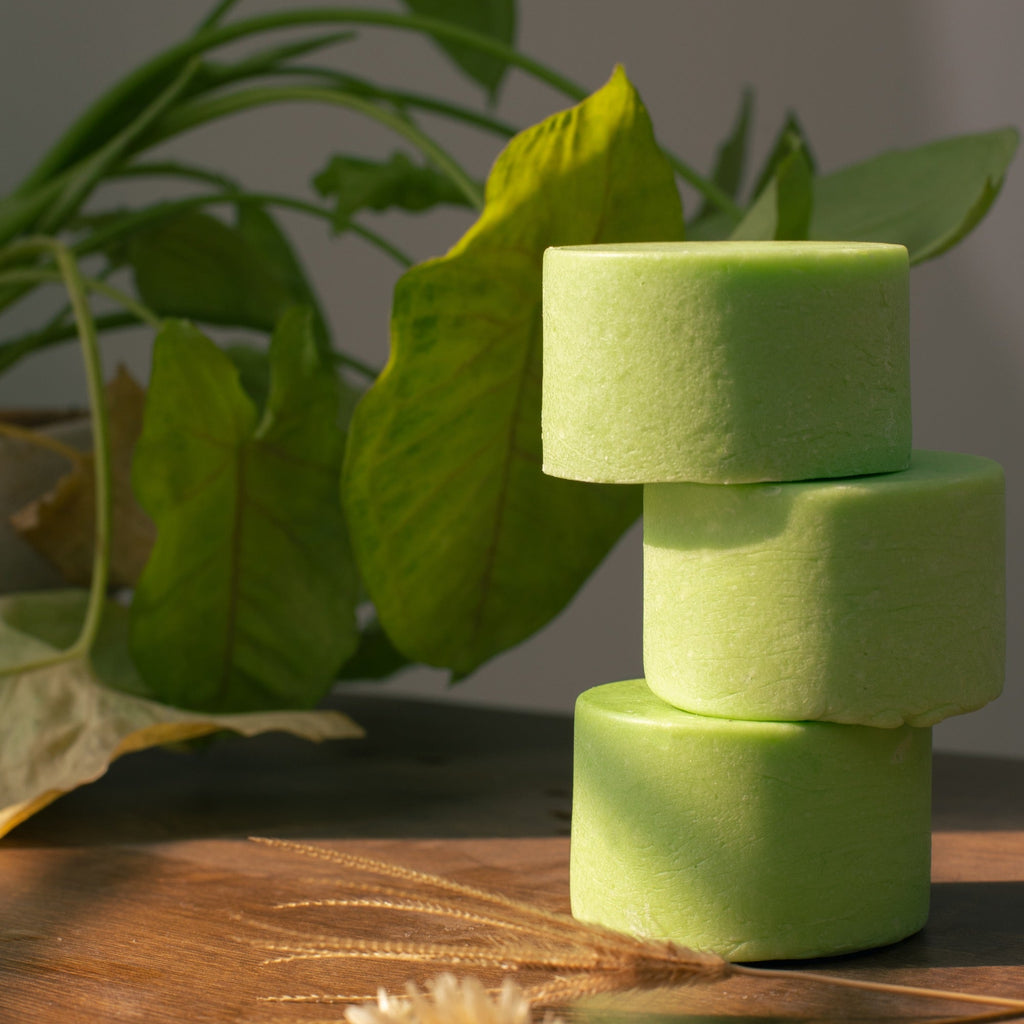 Aloe Lavender Shampoo Bar
